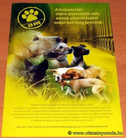 Szórólap – nyomdai referencia
